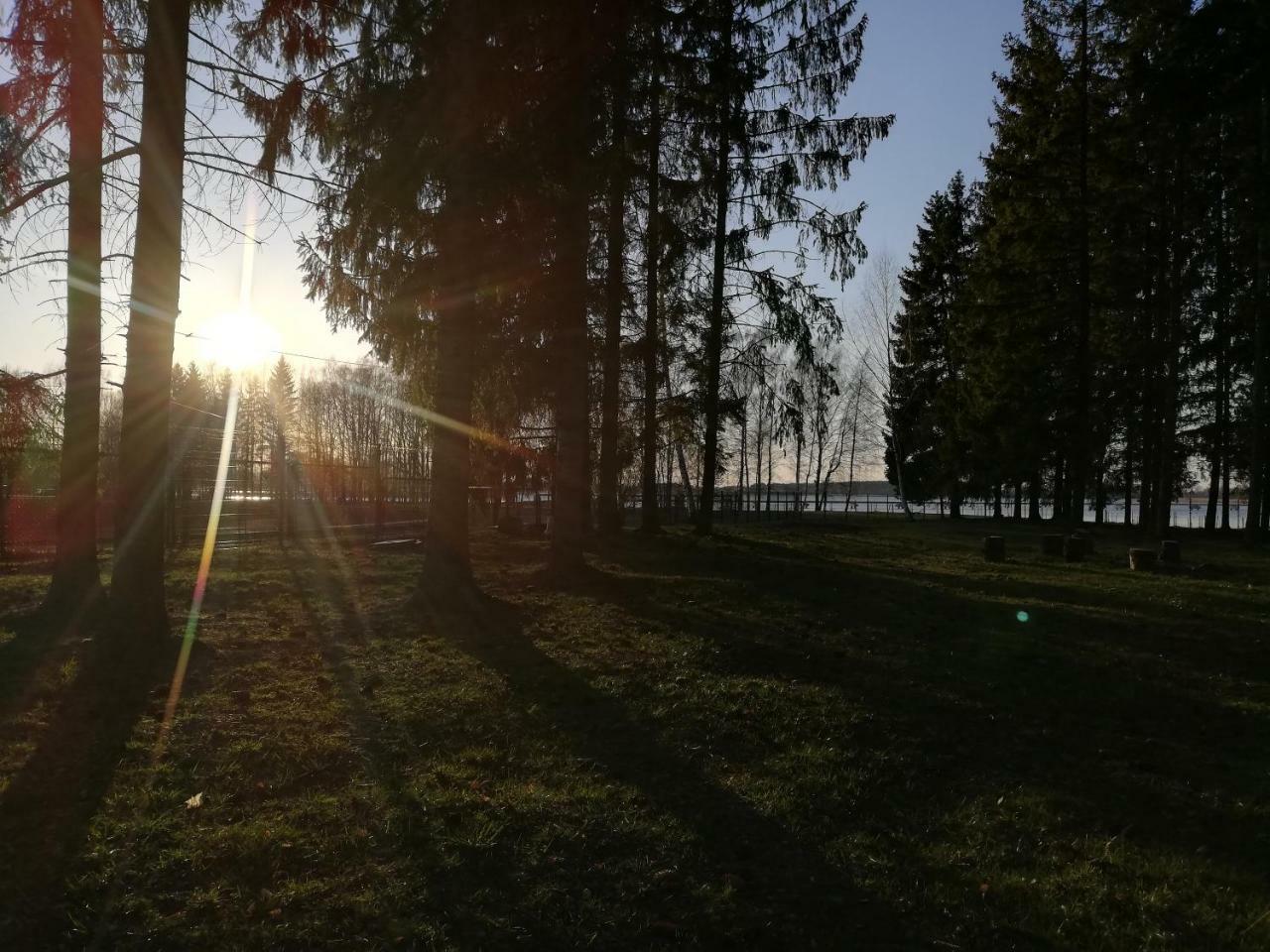 Birzai Camping Exterior foto